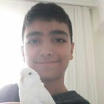 Metin