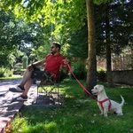 Alper