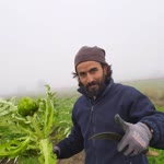 Deniz