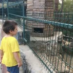 İbrahim