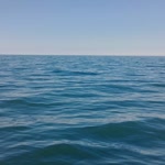 Bahar