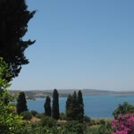 Güler