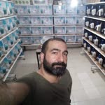 İsmail
