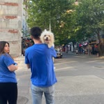 Serdar