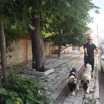 Cihan