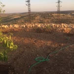 Muhittin