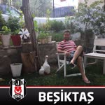 Sertac