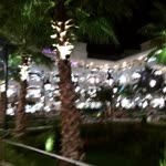 Özcan