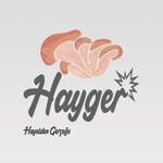 Hayger