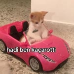 Dilek