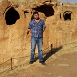 Şahin