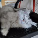 Tugba