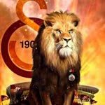 Şahin