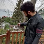 Caner