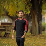 Ferdi