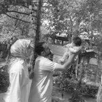 Murat