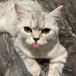 Zeynep