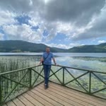 Umut