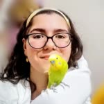 Cansu