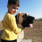 Tevfik
