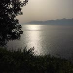 Tolga