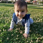 Zehra