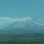 Şeyda