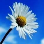 Tufan