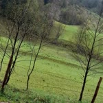 Nurdane