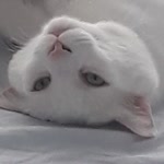 Eymen