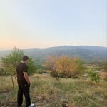 Talha