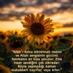 Aysun