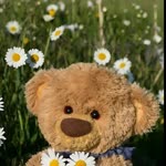Elif