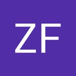 Zf Budak