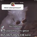 Erdem