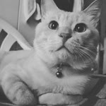 Sanem