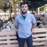 Mehmet