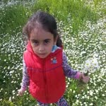 Ercan