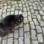 Emrah