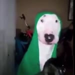 Kfneafe