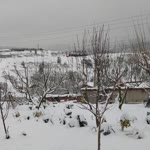 Çetinkaya