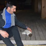 Firat