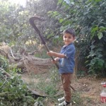 Ozan