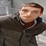 Ege