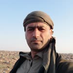 Harun