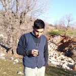 Şahin