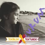 Erhan