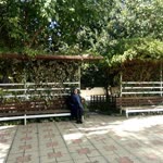 Büşra