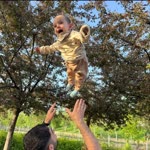 Veysel