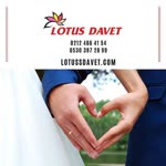Lotus